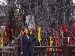 -大槐树寻根祭祖园
