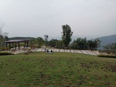 -铁山坪森林公园