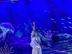 -海合安成都极地海洋公园