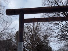 -北海道神宫