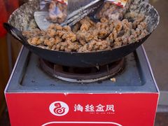 -海丝金凤(金鱼店)