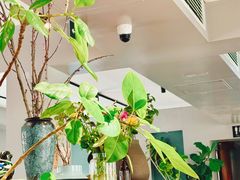 -一坐一忘云南菜(北京skp店)
