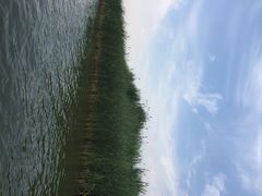 横店影城(东胜广场店)-横店电影城横影巨幕S-PLUS(港悦广场店)