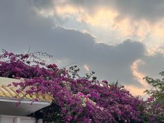 -三亚南山文化旅游区