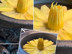 出水芙蓉-辛香汇·现炒川菜(淮海路百盛店)