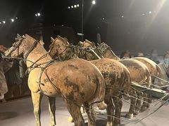 -秦始皇帝陵博物院-丽山园