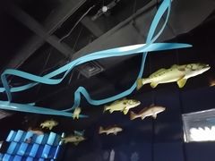 -同济大学四平路校区深海探索馆