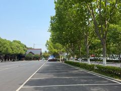 -合肥滨湖国家森林公园