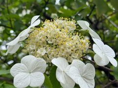 -白塘生态植物园