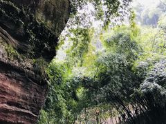 -川西竹海景区