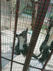 -萌宠亲子动物乐园(槐房万达店)