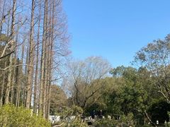 -上海醉白池公园