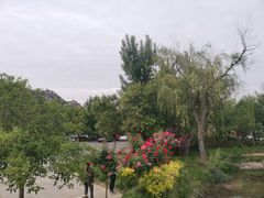 -嵖岈山风景区