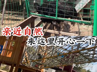 亲近自然，来这里开心一下吧！