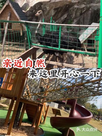 亲近自然，来这里开心一下吧！
