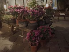 -瓦库茶馆17号(海汇港店)