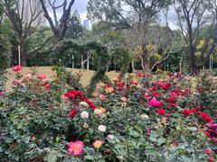 -人民公园(罗湖区)