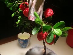 -遇见长安之高山流水(李家村万达店)
