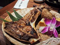 -66大阪烧烧鸟·益市家系拉面出张所