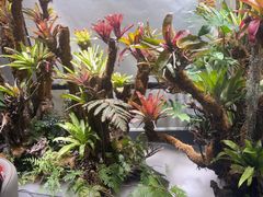 -扶摇湘宴·烤鸭·湘粤宴(中关村·北大店)