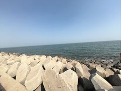 -东堤公园