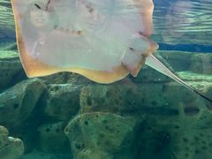 -珠海长隆海洋王国