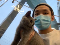 -瑞派紫金宠物医院24小时·骨科·中兽医·重症转诊中心(番禺大石院)