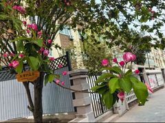 -天津五大道文化旅游区