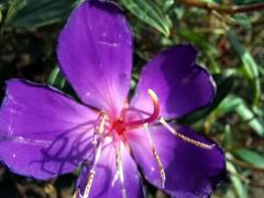 -南国桃园旅游度假区