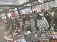 -COACH蔻驰(盛京奥特莱斯店)
