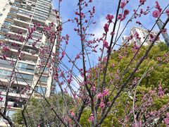 -苏州河梦清园环保主题公园