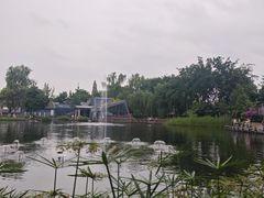 -成飞公园