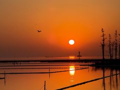 -滆湖低碳生态公园