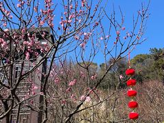 -无锡梅园公园