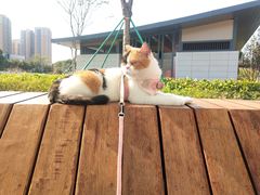 -红花山公园