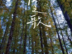 -八大关景区