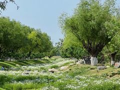 -汉长安城未央宫国家考古遗址公园