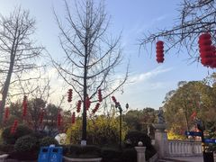 -南湖梦幻岛