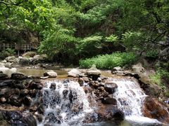 -牛背梁国家森林公园