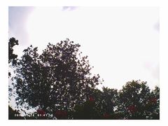 -天河儿童公园