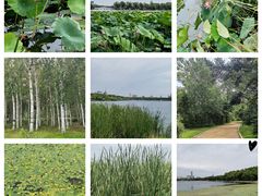 -长春市南湖公园