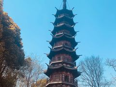 -上海佘山国家森林公园西佘山园