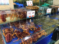 水产区-东江海鲜酒家(艺都分店)