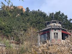 -老张烤羊(王哥庄店)