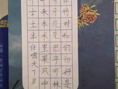 -赵汝飞练字硬笔书法(航头校区)