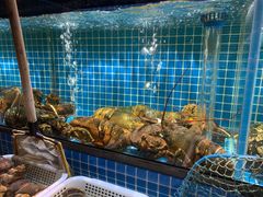 -庆赫隆融合菜馆(群力店)