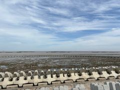 -南汇嘴观海公园
