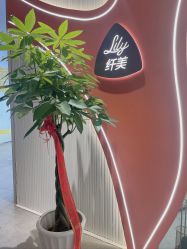 -Lily纤美·科技减脂中心
