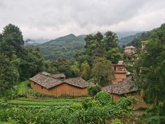 -杨家堂村