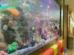 -御池园(顾村公园店)